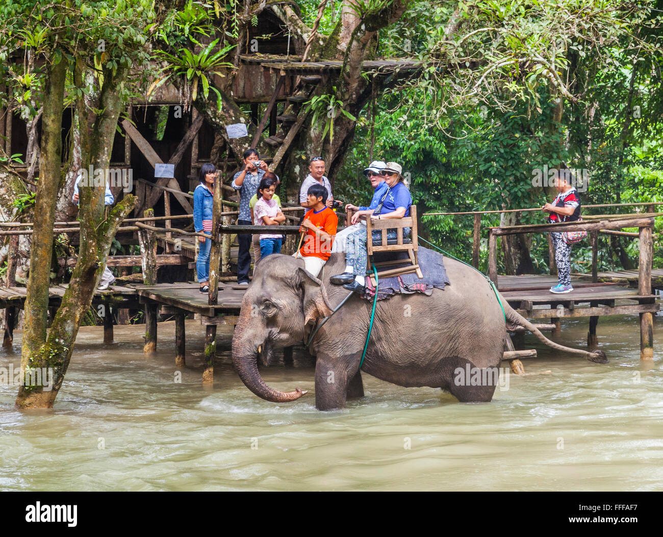 Laos, Luang Prabang Province, tourist rides on a Lao elepant from the elephant village sanctuary at Tat Sae Waterfalls Stock Photo