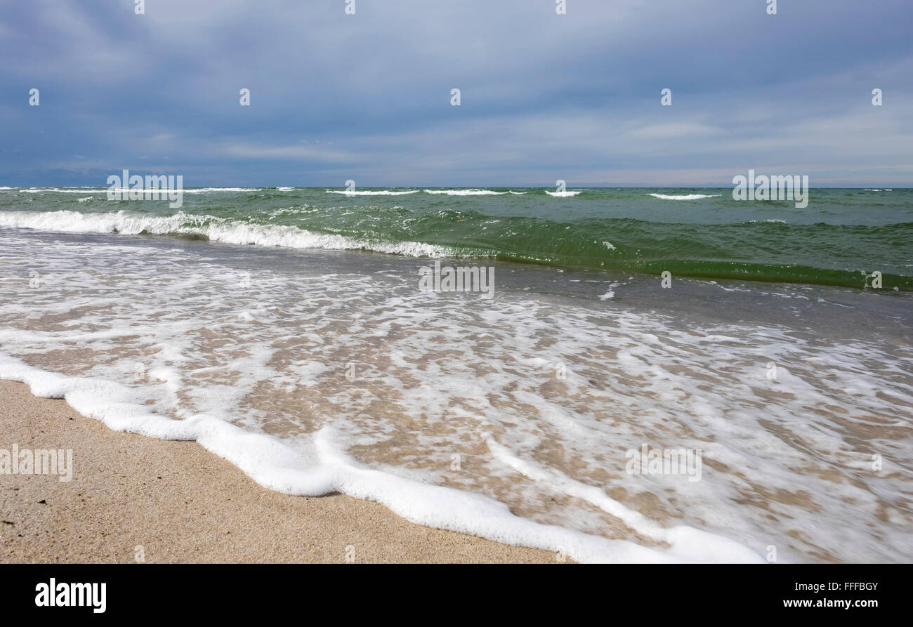 Beach, Baltic sea coast, Darß, Fischland-Darß-Zingst, Western Pomerania Lagoon Area National Park Stock Photo