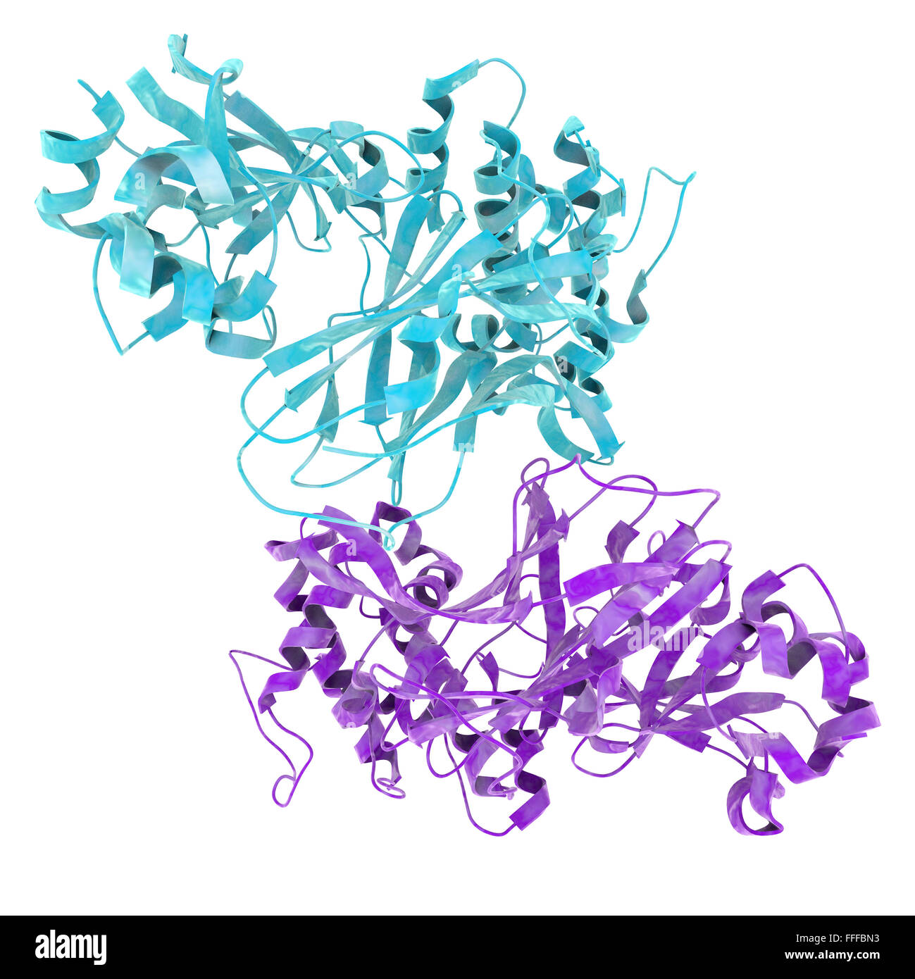 Molecular structure of diphtheria toxin, secreted by the bacterium Corynebacterium diphtheriae. Stock Photo