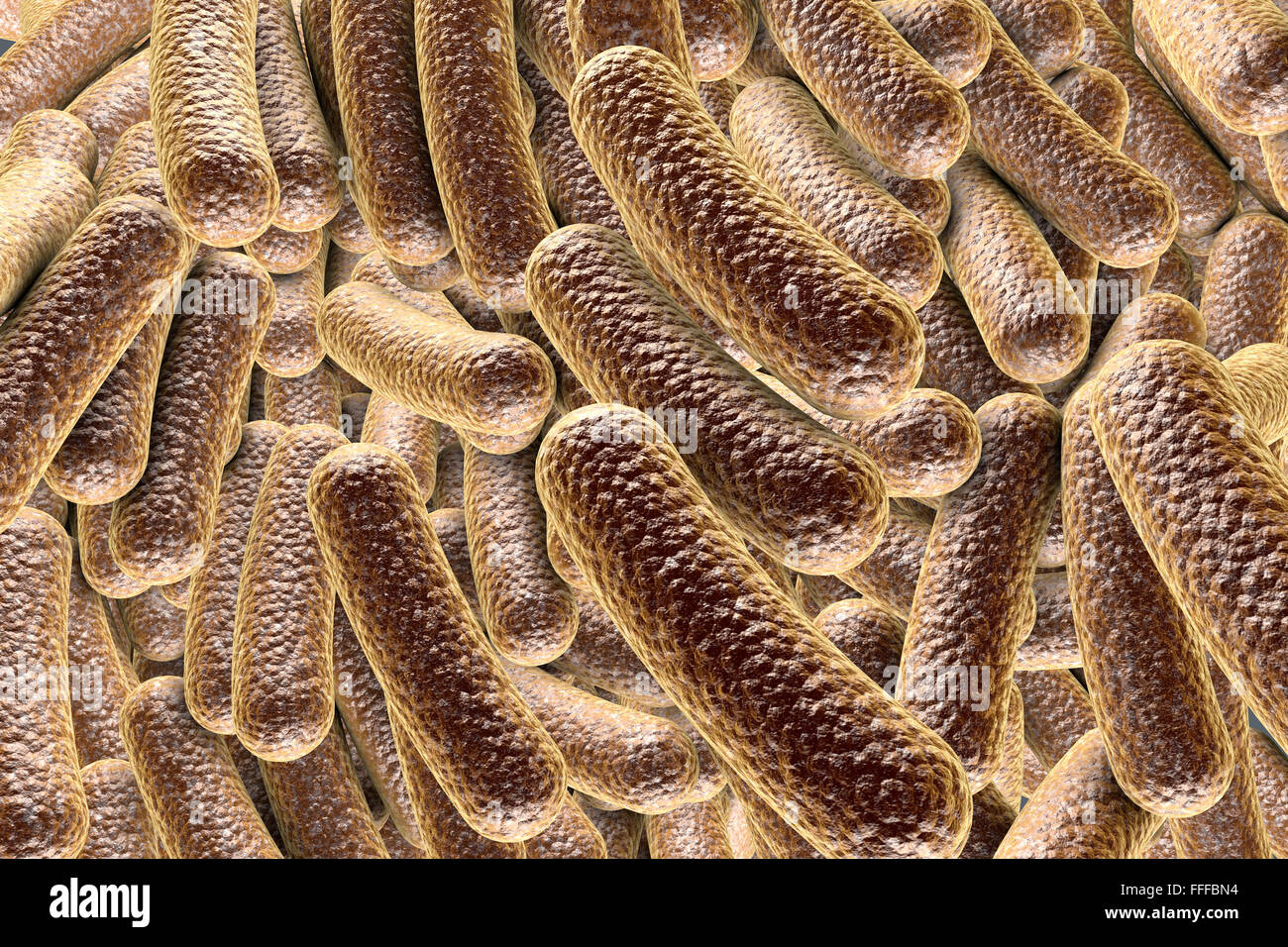 Illustration of rod-shaped bacteria. Rod-shaped bacteria include Escherichia coli, Salmonella, Shigella, Legionella, Stock Photo