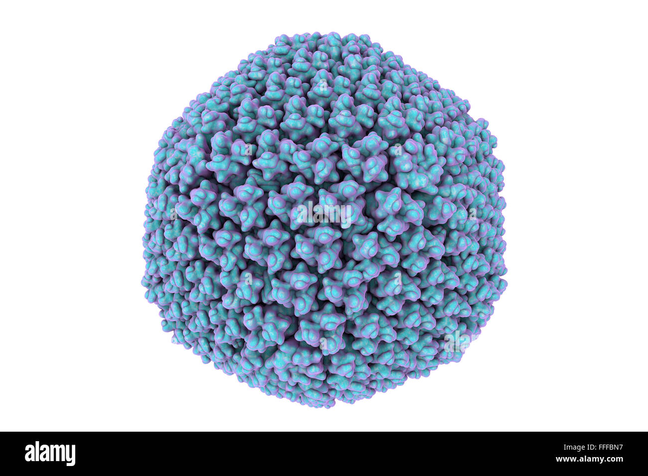 Adenovirus, computer model Stock Photo - Alamy