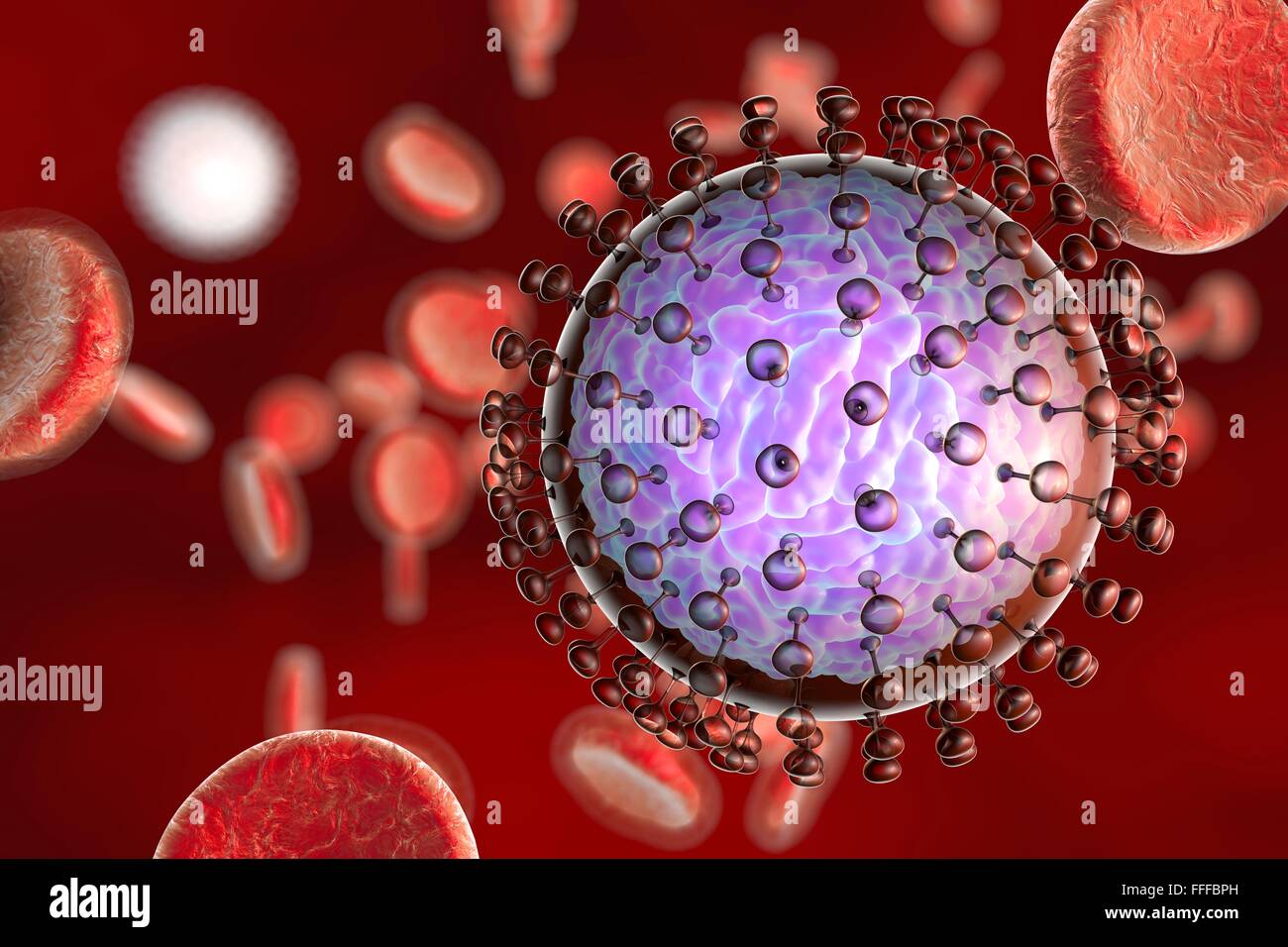 Zika virus, computer illustration. This is an RNA (ribonucleic acid) virus from the Flaviviridae family. It is transmitted to Stock Photo