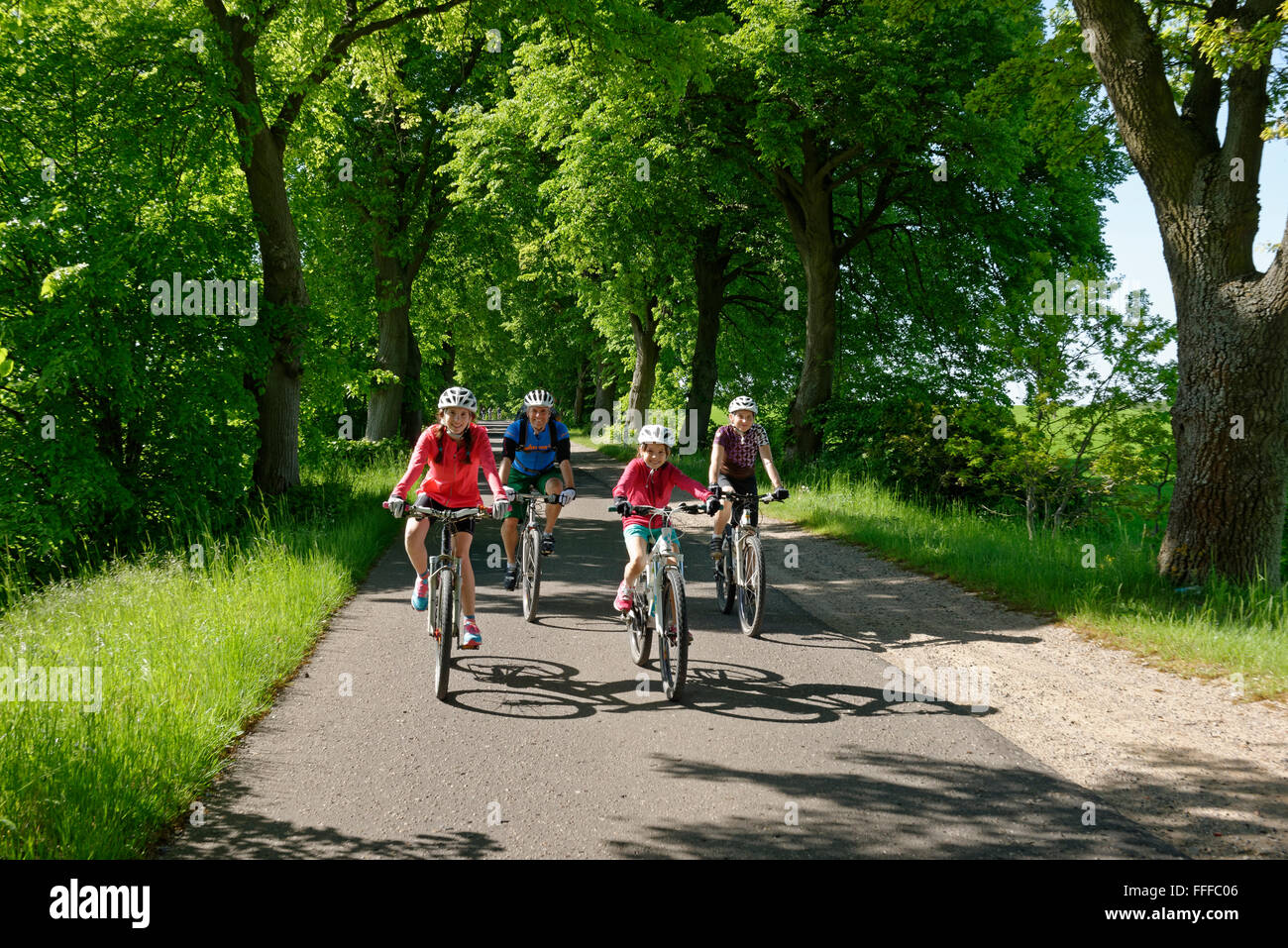 Family with children riding bicycles down avenue, Qualzow, Müritz National Park, Mecklenburg Lake District Stock Photo