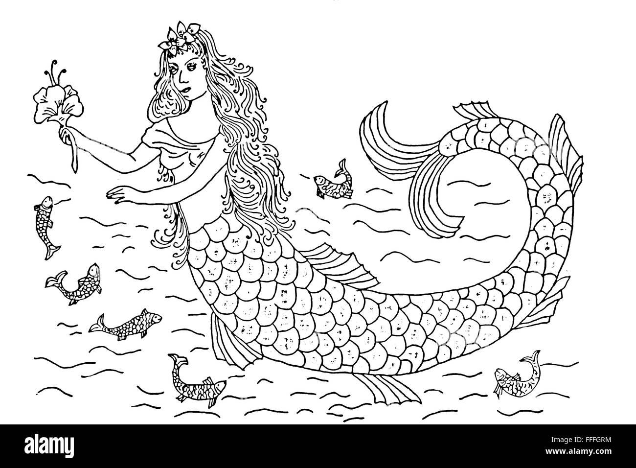 outlined mermaid Stock Photo