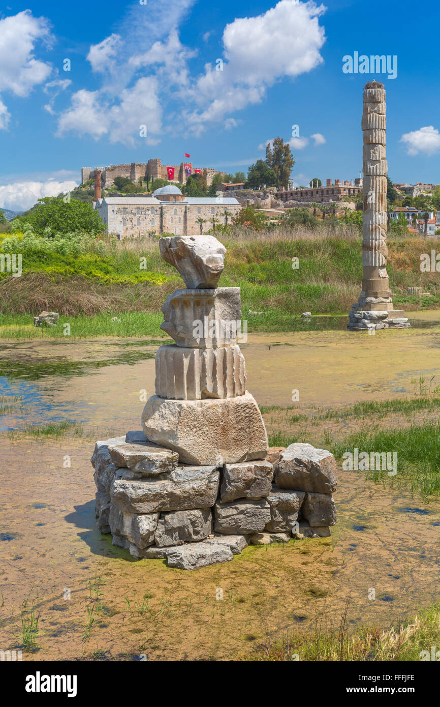 Ruins of Temple of Artemis, Ephesus, Selcuk, Izmir Province, Turkey Stock Photo