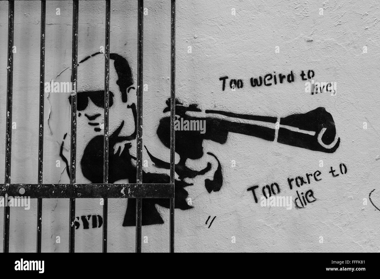 Graffiti on a wall behind an iron gate. with man pointing a gun and the words 'Too weird to live' Stock Photo