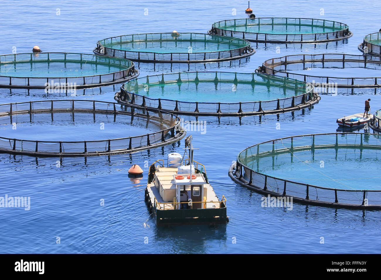 Seafood farming hi-res stock photography and images - Alamy