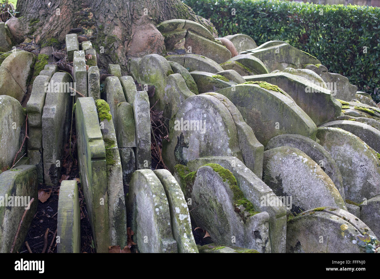 Hardy Tree Gravestones at the churchyard of St Pancras Old Church in London Stock Photo