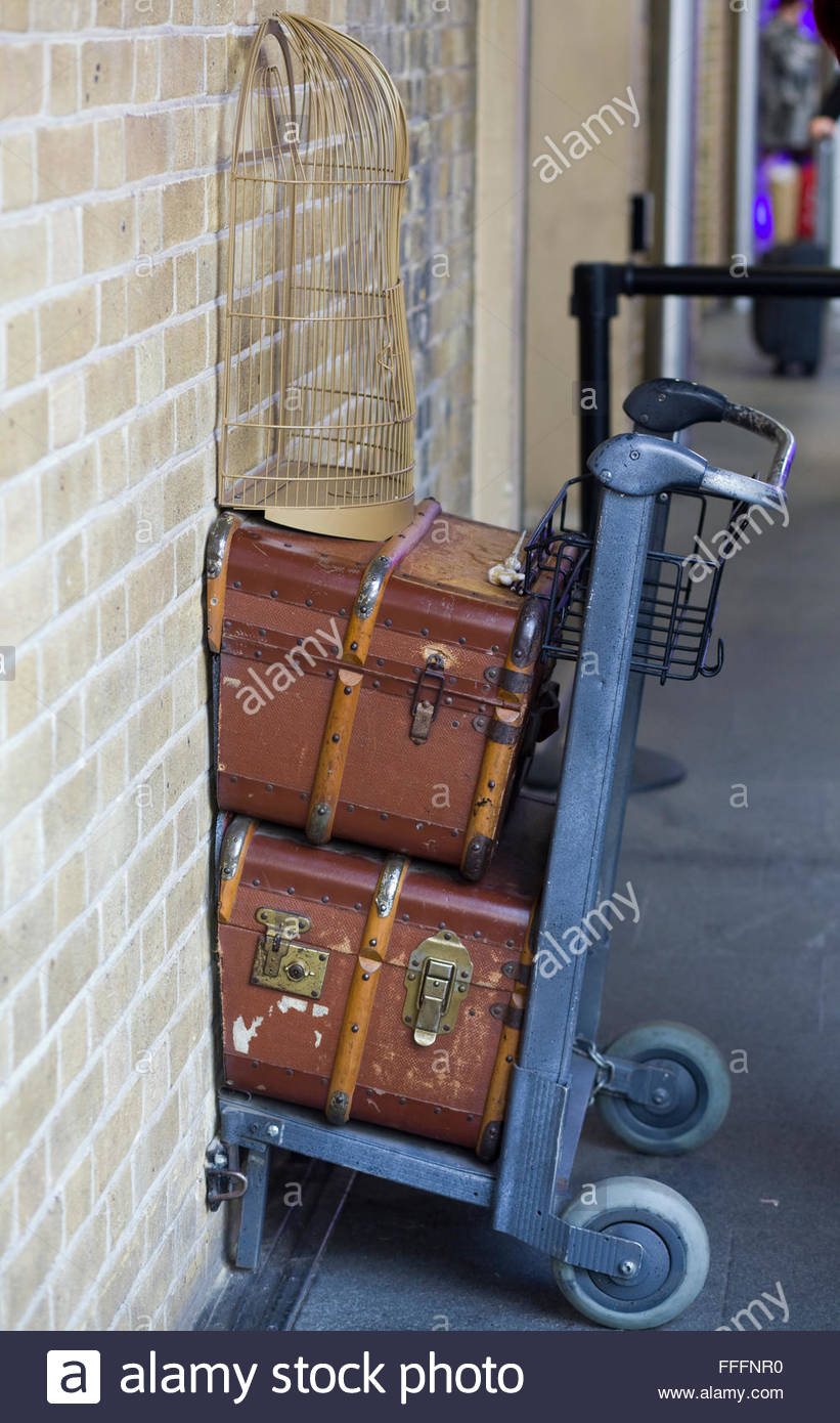 harry potter trolley bag