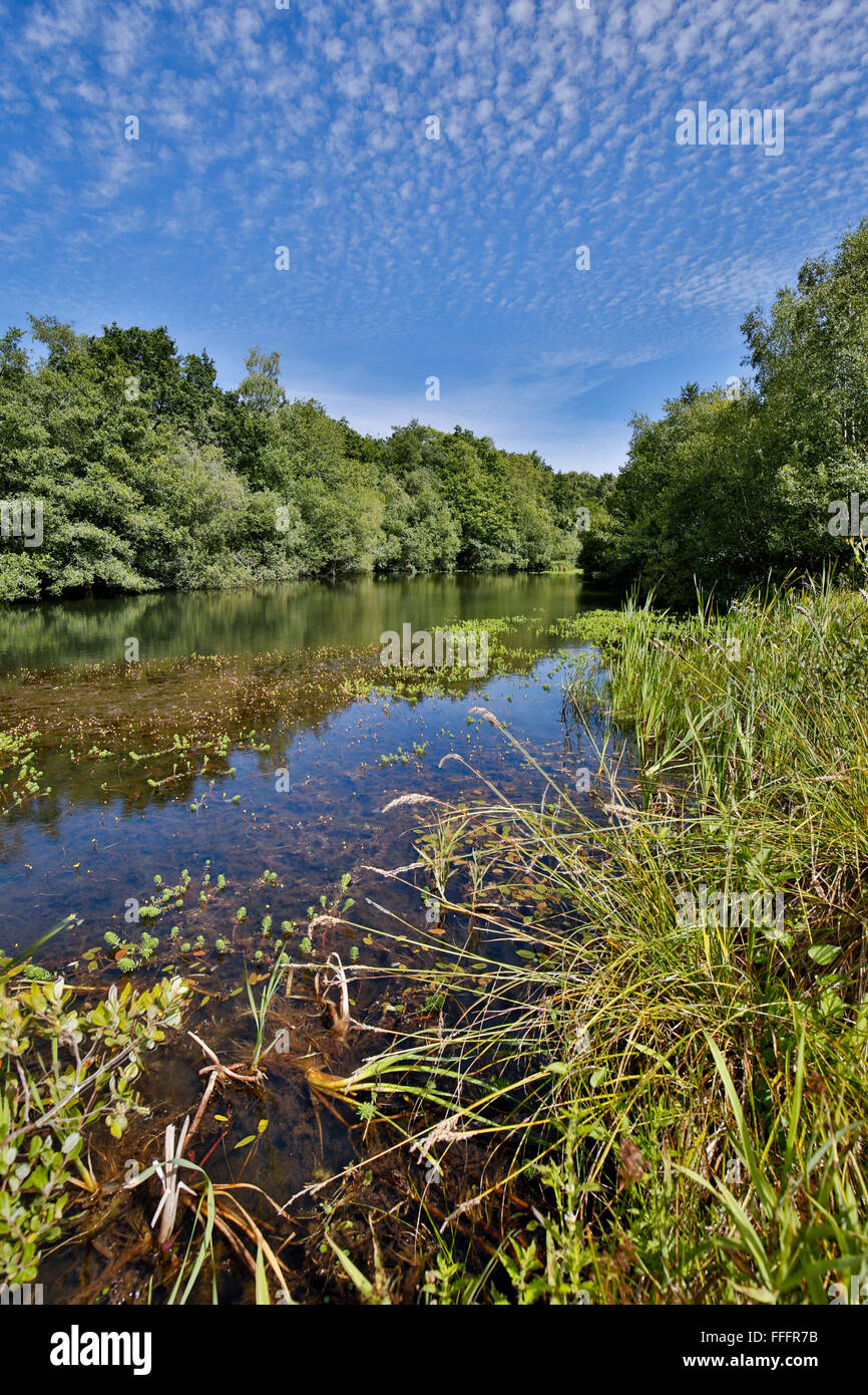 Little bradly ponds hires stock photography and images Alamy