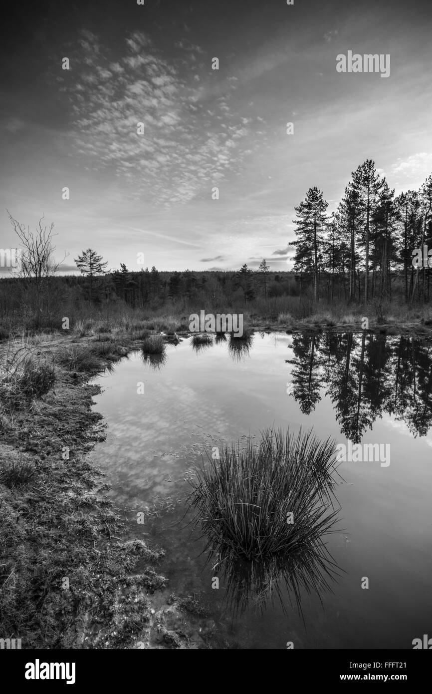 Still pond on open moorland. Stock Photo