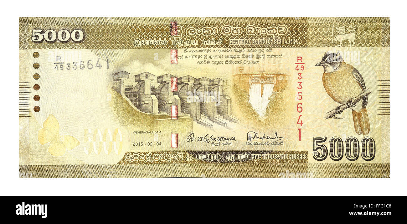 Banknotes 5000 Sri Lankan Rupees Stock Photo