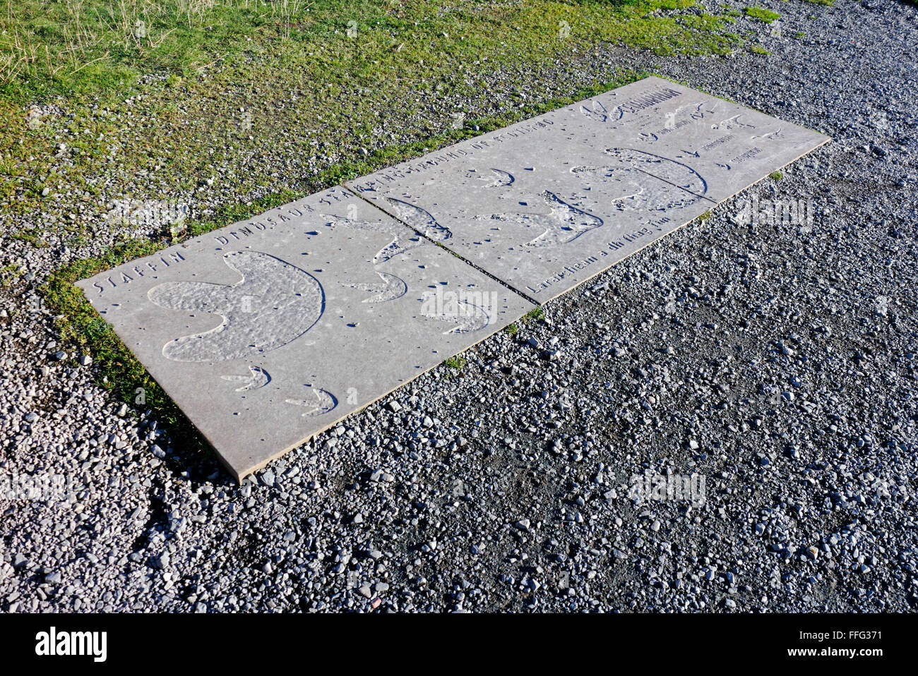 A cast of fossil Dinosaur footprints at Staffin, Isle of Skye, Scotland, United Kingdom. Stock Photo