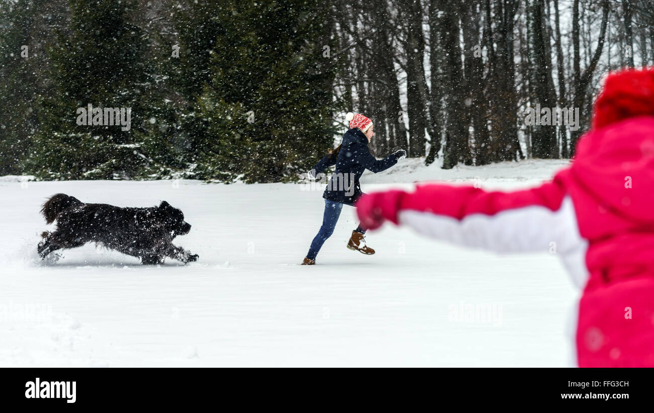 Two sisters playing in snow with newfoundlander dog, winter and leisure Stock Photo