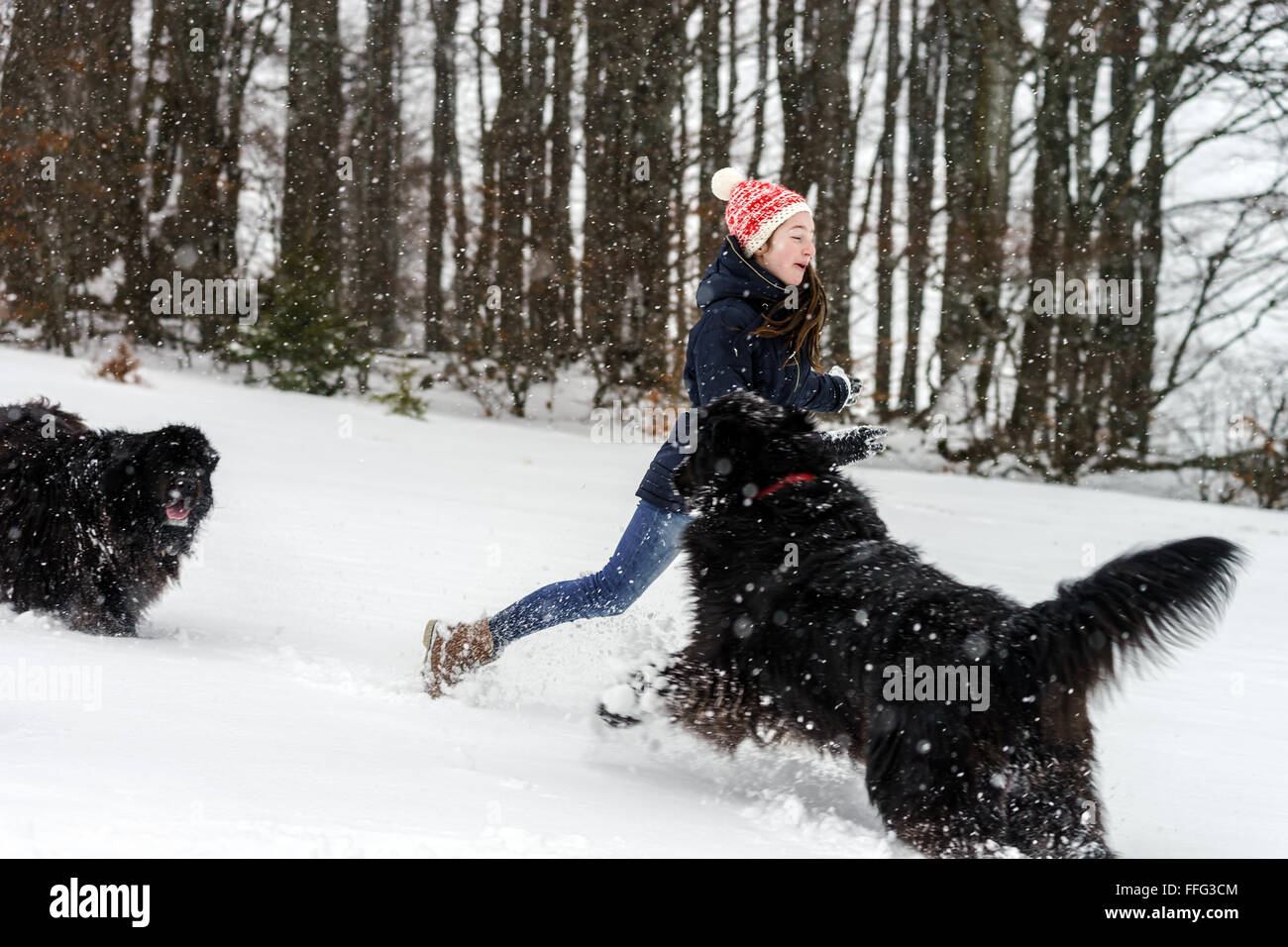 Two sisters playing in snow with newfoundlander dog, winter and leisure Stock Photo