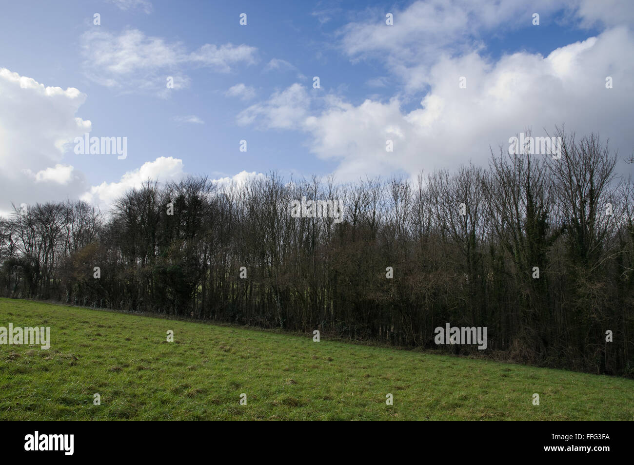Green field sunny hi-res stock photography and images - Alamy