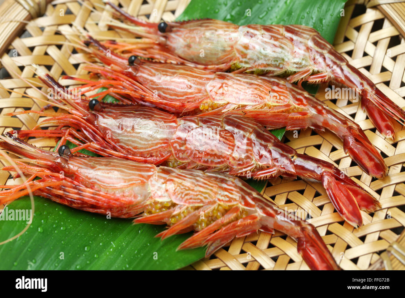 morotoge shrimp, shima ebi, japanese seafood isolated Stock Photo