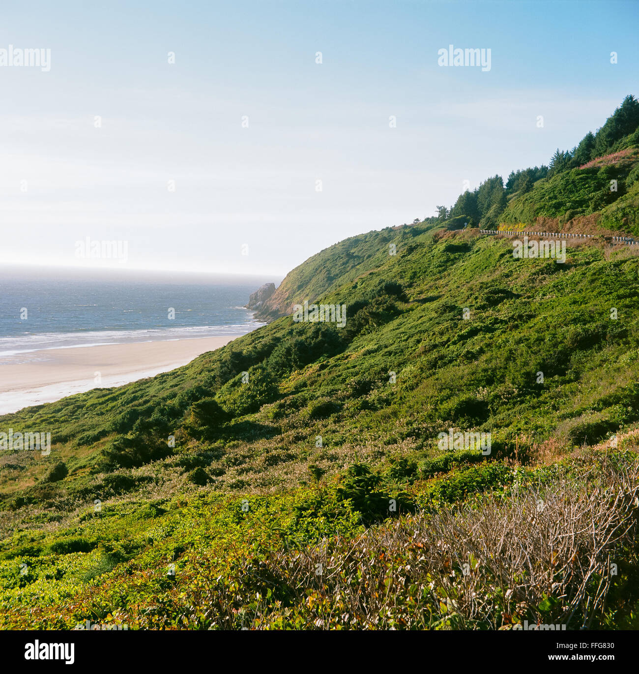 Oregon Coast beach near Heceta Head with sand dunes and the Pacific Ocean in the northwest. Stock Photo