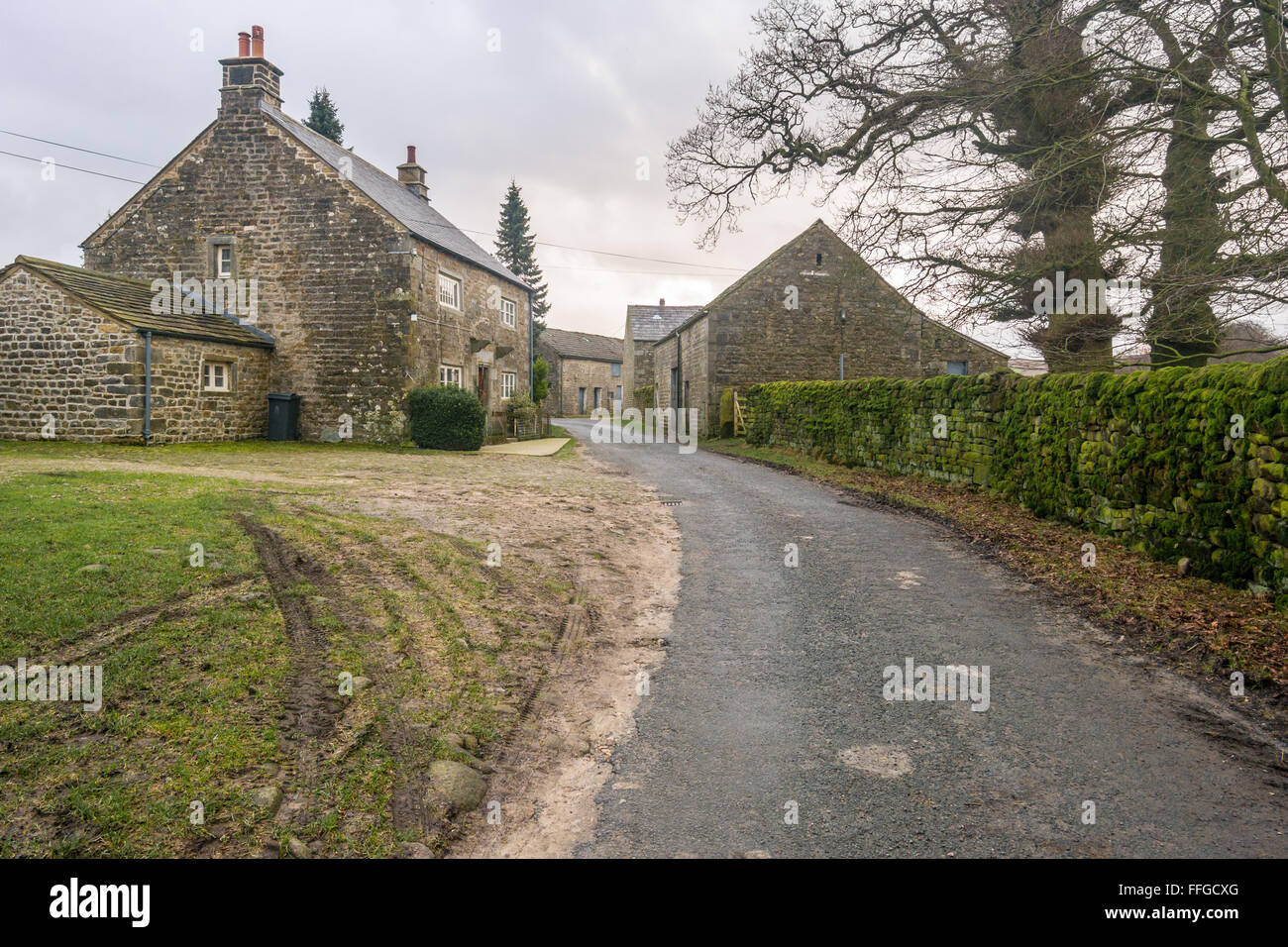 Forest of Bowland A.O.N.B Stock Photo Alamy