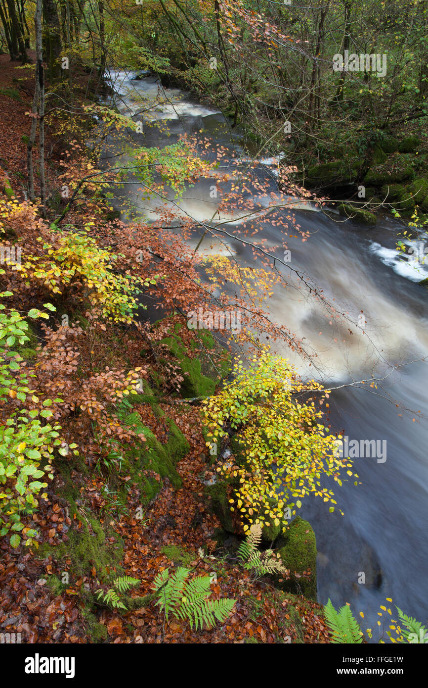 Moness Burn in the Birks of Aberfeldy, Perthshire, Scotland. Stock Photo