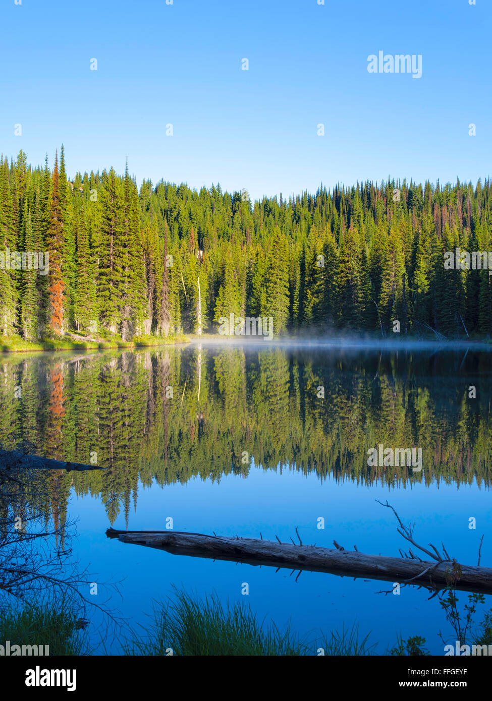 The morning sun causes steam to rise off of Horseshoe Lake, deep in the