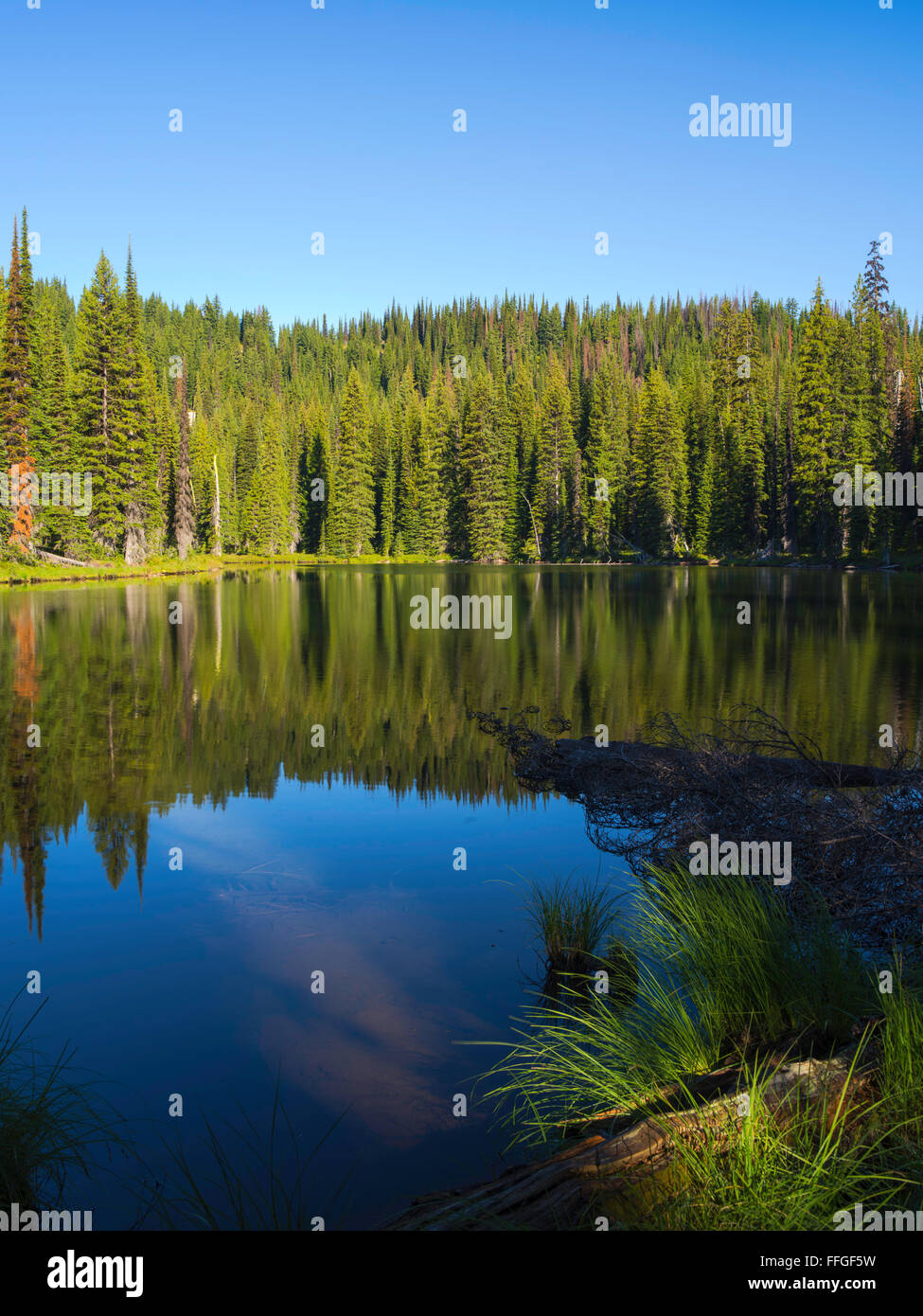 The morning sun causes steam to rise off of Horseshoe Lake, deep in the