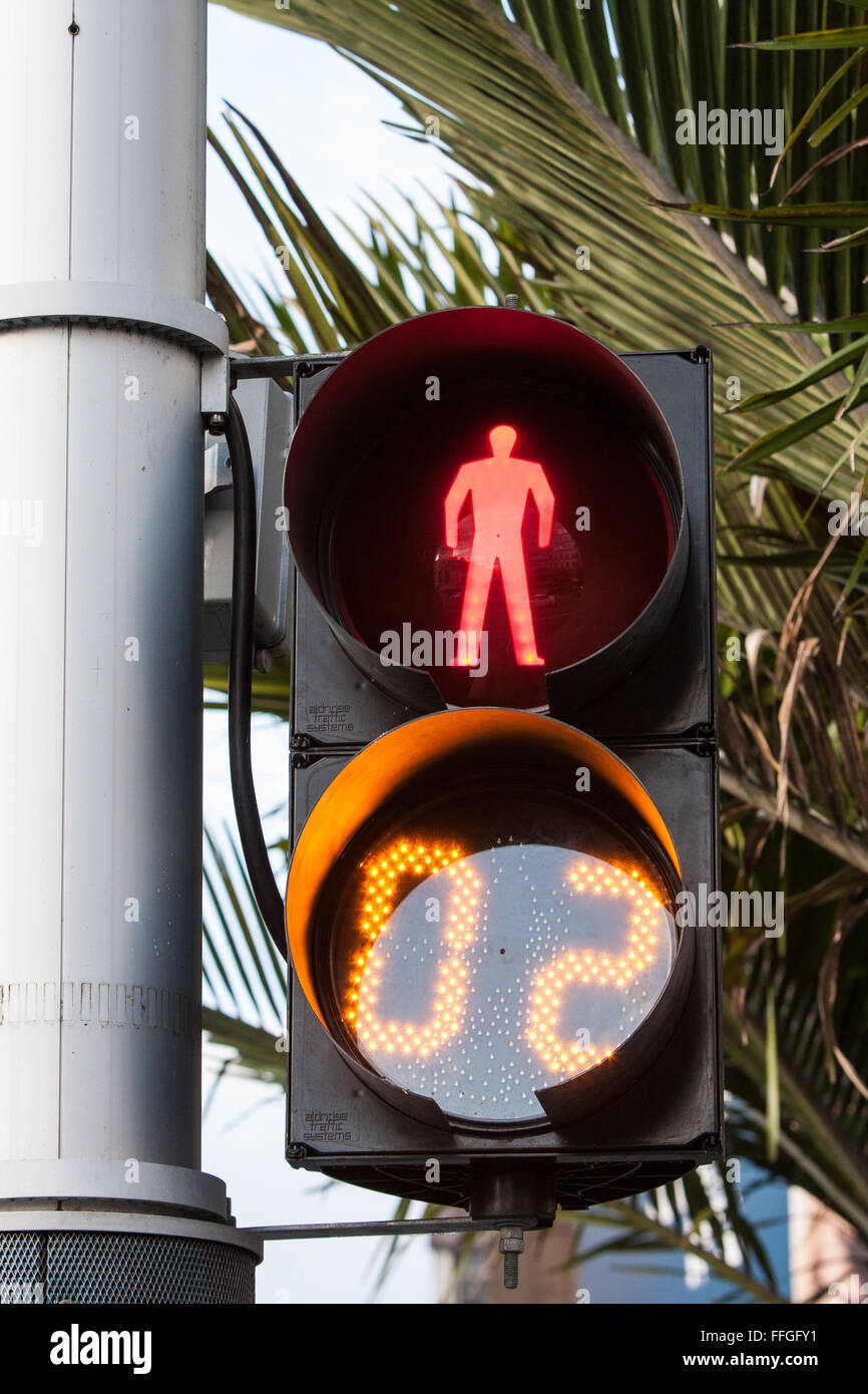 Countdown timer on pedestrian crossing,traffic,light,lights, in