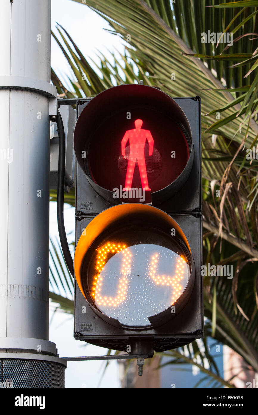 Countdown timer on pedestrian crossing,traffic,light,lights, in Stock