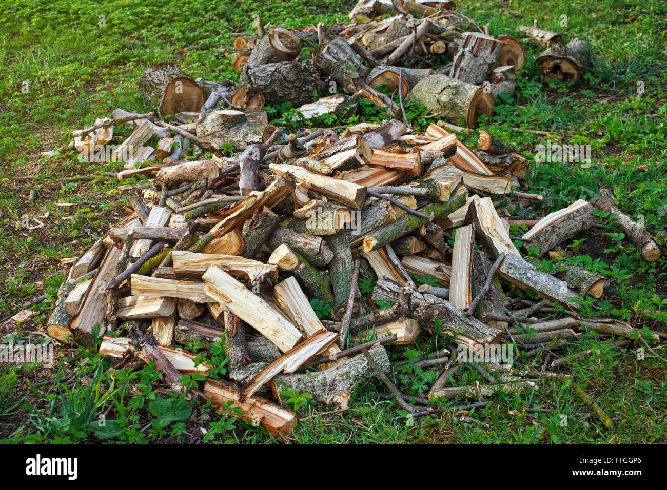 Firewood stack background natural hi-res stock photography and images ...