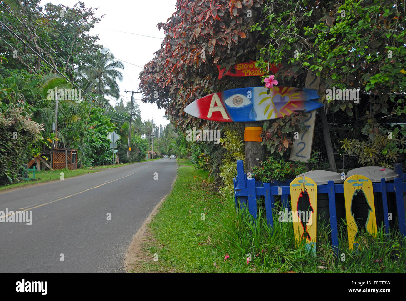 Surf Boards honoring Andy Irons, world famous Professional competitive