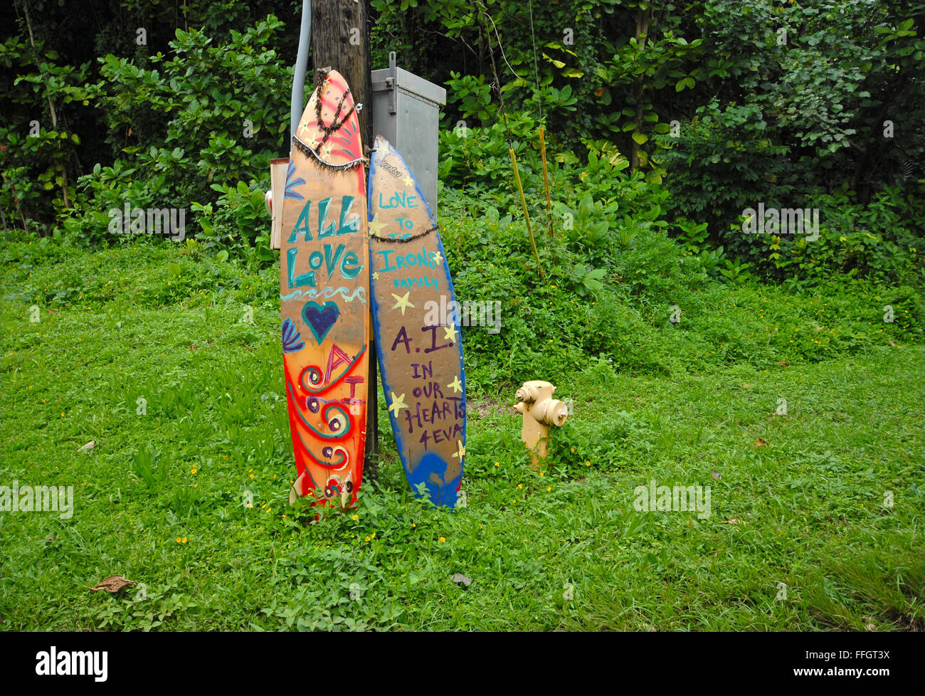 Surf Boards honoring Andy Irons, world famous Professional competitive