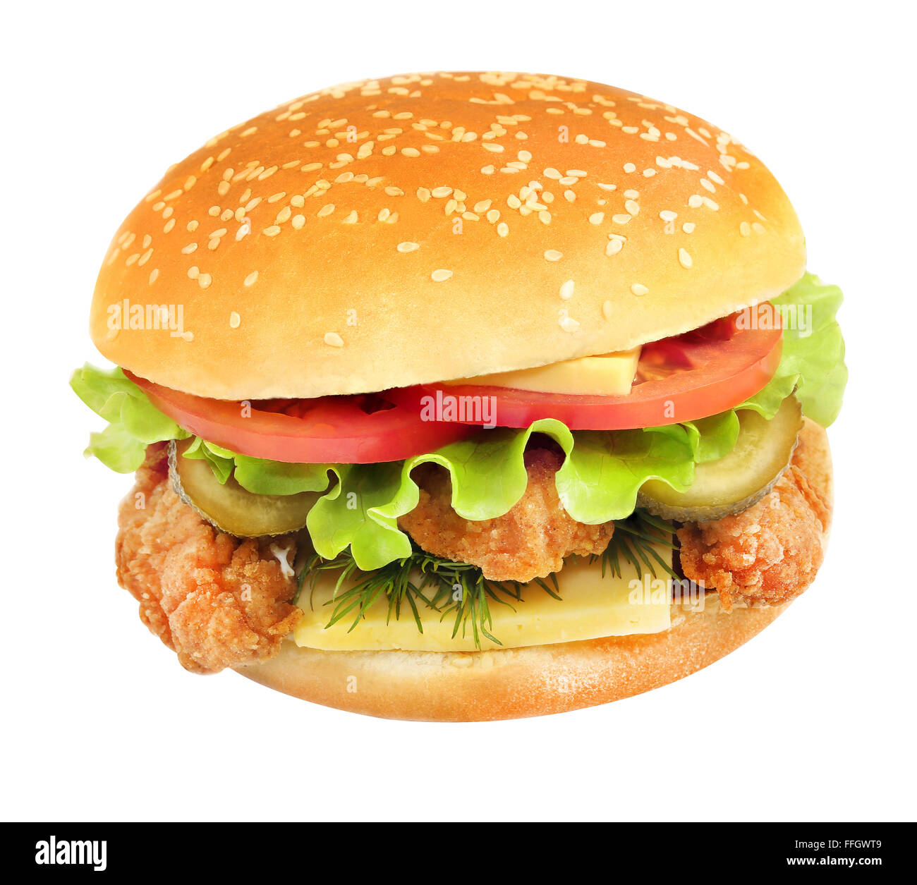 Closeup of a delicious cheese burger lettuce Stock Photo