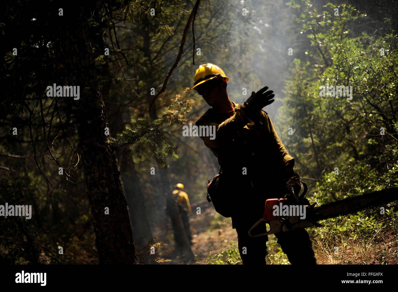 Vandenberg Air Force Base Hot Shot fire fighter Brad Mabery prepares to cut a tree with his chainsaw while cutting and clearing a fire line on June 28, 2012 in the Mount Saint Francois area of Colorado Springs, Co. His team is helping to battle several fires in Waldo Canyon.  The Waldo Canyon fire has grown to 18,500 acres and burned over 300 homes. Currently, more than 90 firefighters from the Academy, along with assets from Air Force Space Command; F.E. Warren Air Force Base, Wyo.; Fort Carson, Colo.; and the local community continue to fight the Waldo Canyon fire Stock Photo