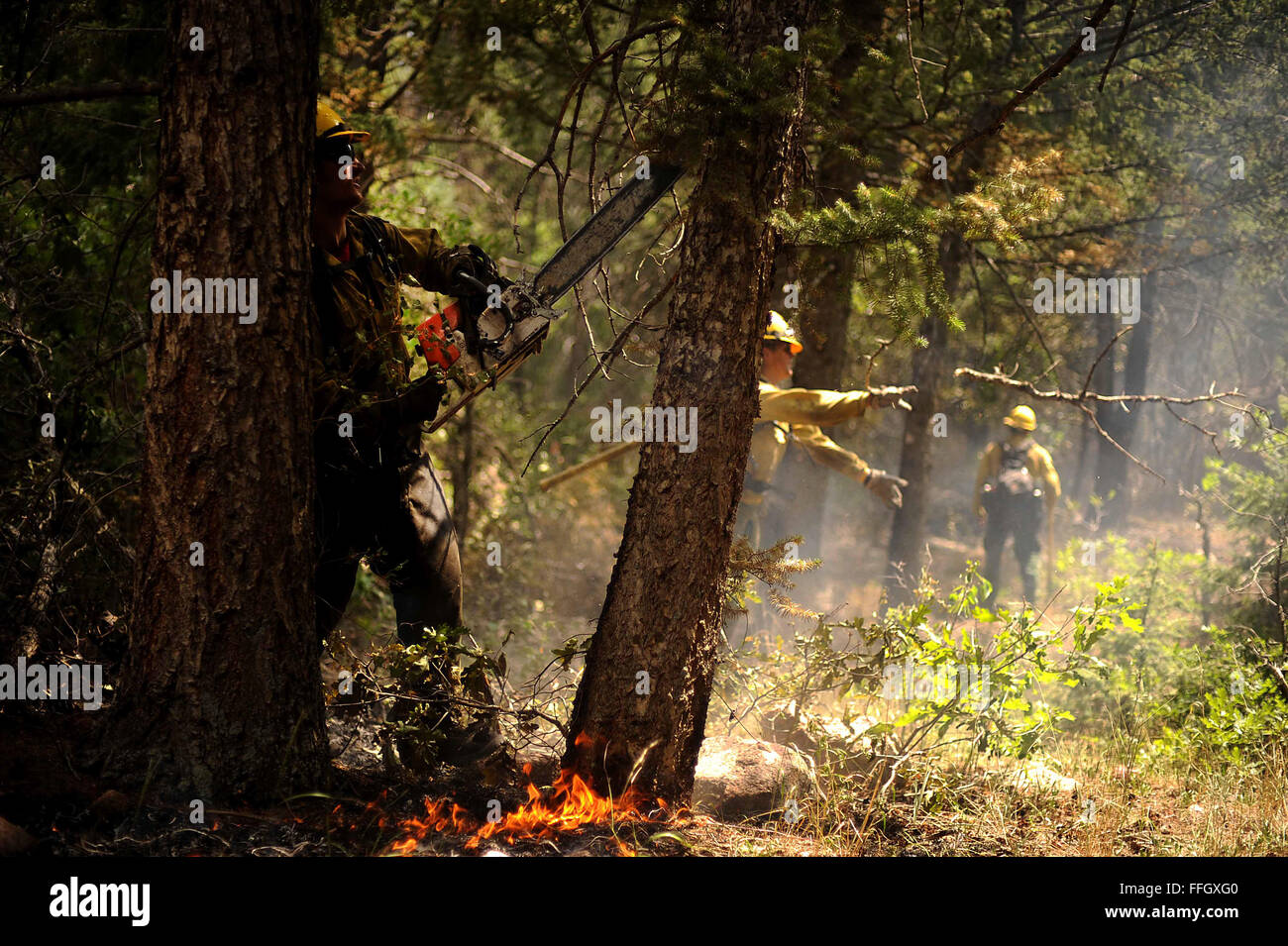 Vandenberg Air Force Base Hot Shot fire fighter Brad Mabery cuts a tree with his chainsaw while cutting and clearing a fire line on June 28, 2012 in the Mount Saint Francois area of Colorado Springs, Co. His team is helping to battle several fires in Waldo Canyon.  The Waldo Canyon fire has grown to 18,500 acres and burned over 300 homes. Currently, more than 90 firefighters from the Academy, along with assets from Air Force Space Command; F.E. Warren Air Force Base, Wyo.; Fort Carson, Colo.; and the local community continue to fight the Waldo Canyon fire. Stock Photo