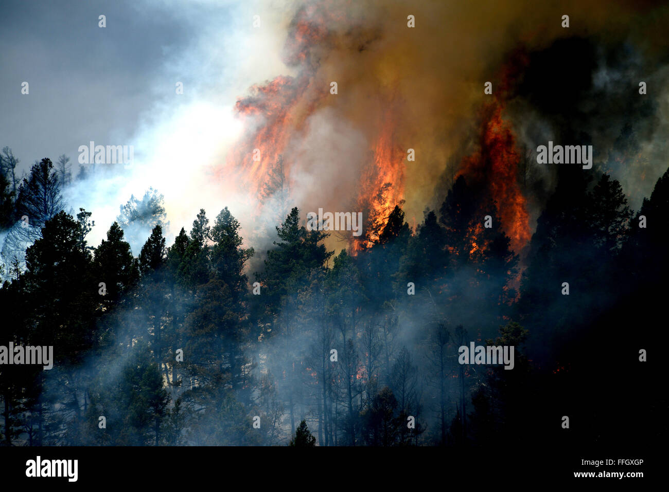 Flames tower over the tree line in the Mount St. Francis area of Colorado Springs, Colo. Air Force and civilian firefighters battled several fires in Waldo Canyon. The fire had grown to more than 18,500 acres and burned more than 300 homes. Stock Photo