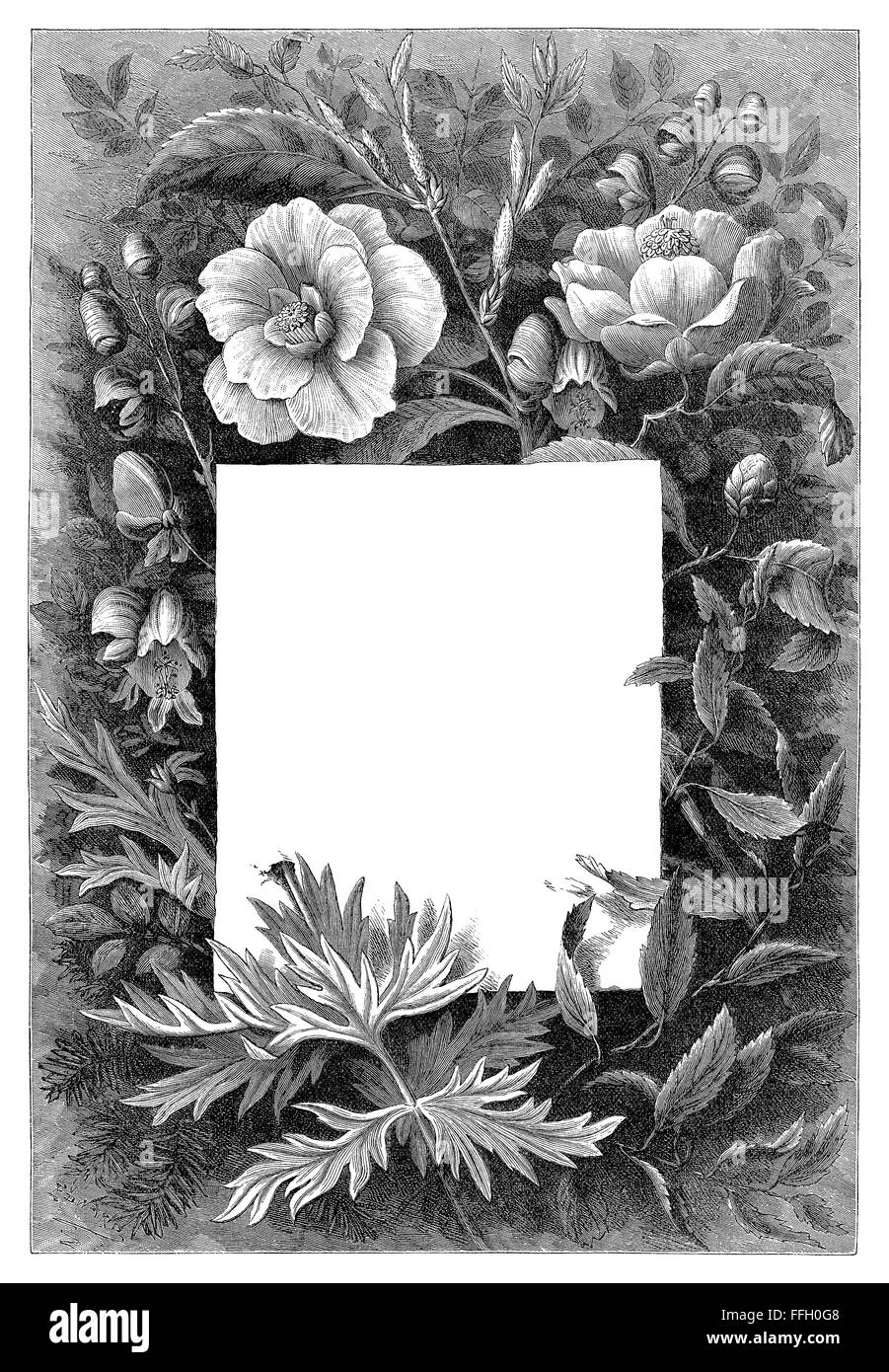 Black and white engraving of a white panel bordered with flowers. Stock Photo