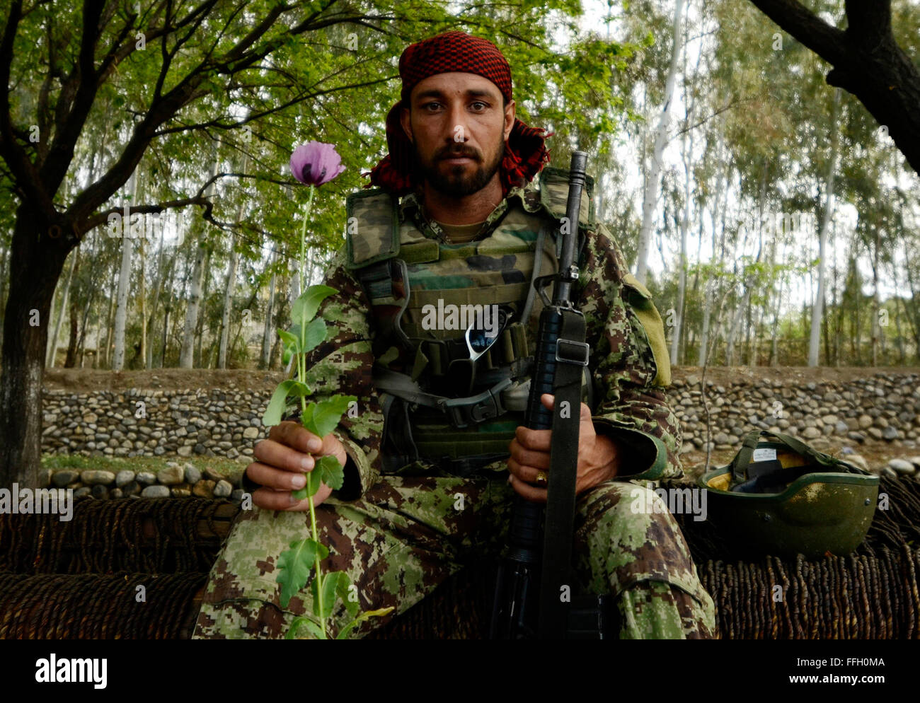 An Afghan National Army soldier poses with a poppy near the village of Karizonah, Afghanistan. The poppy crop is a major source of funding for extremist groups involved in the Taliban-led insurgency in Afghanistan. Stock Photo