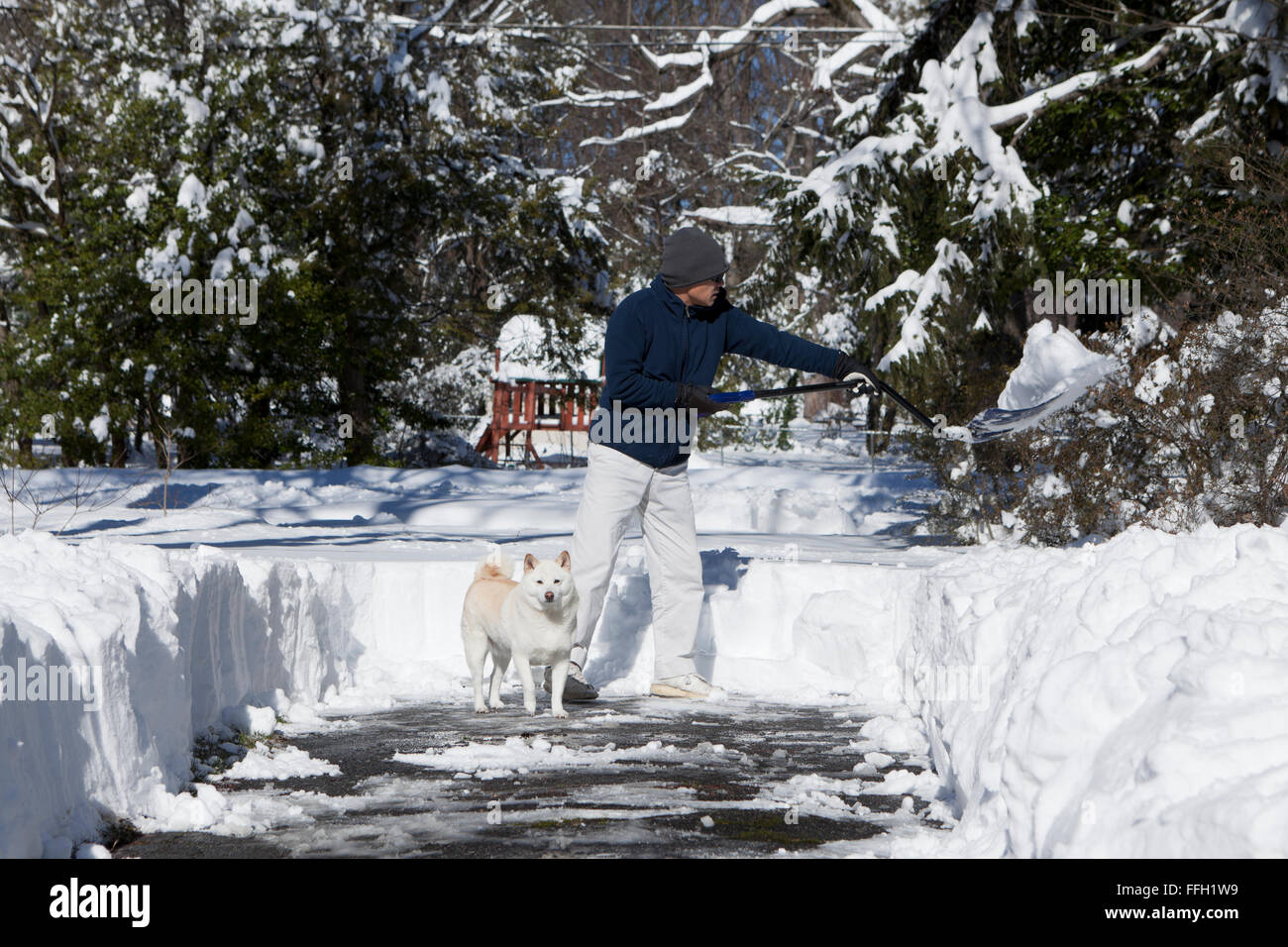 Man shoveling snow from driveway Virginia USA Stock Photo Alamy