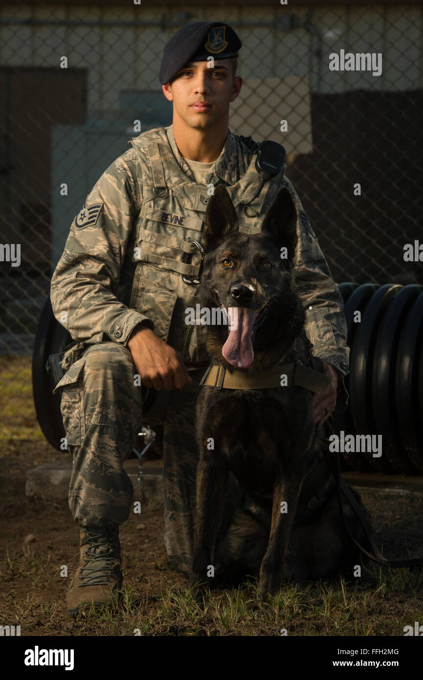 Staff Sgt. Mark Devine, a military working dog handler from the 802nd Security Forces Squadron, kneels next to his military working dog JJany at Joint Base San Antonio-Lackland, Texas. The two have been training and developing chemistry for more than a year. In a traditional situation, the handler and dog will remain together throughout an assignment. Devine and military working dog handlers assigned to JBSA-Lackland fulfill daily law enforcement requirements or train to remain mission-ready. Stock Photo