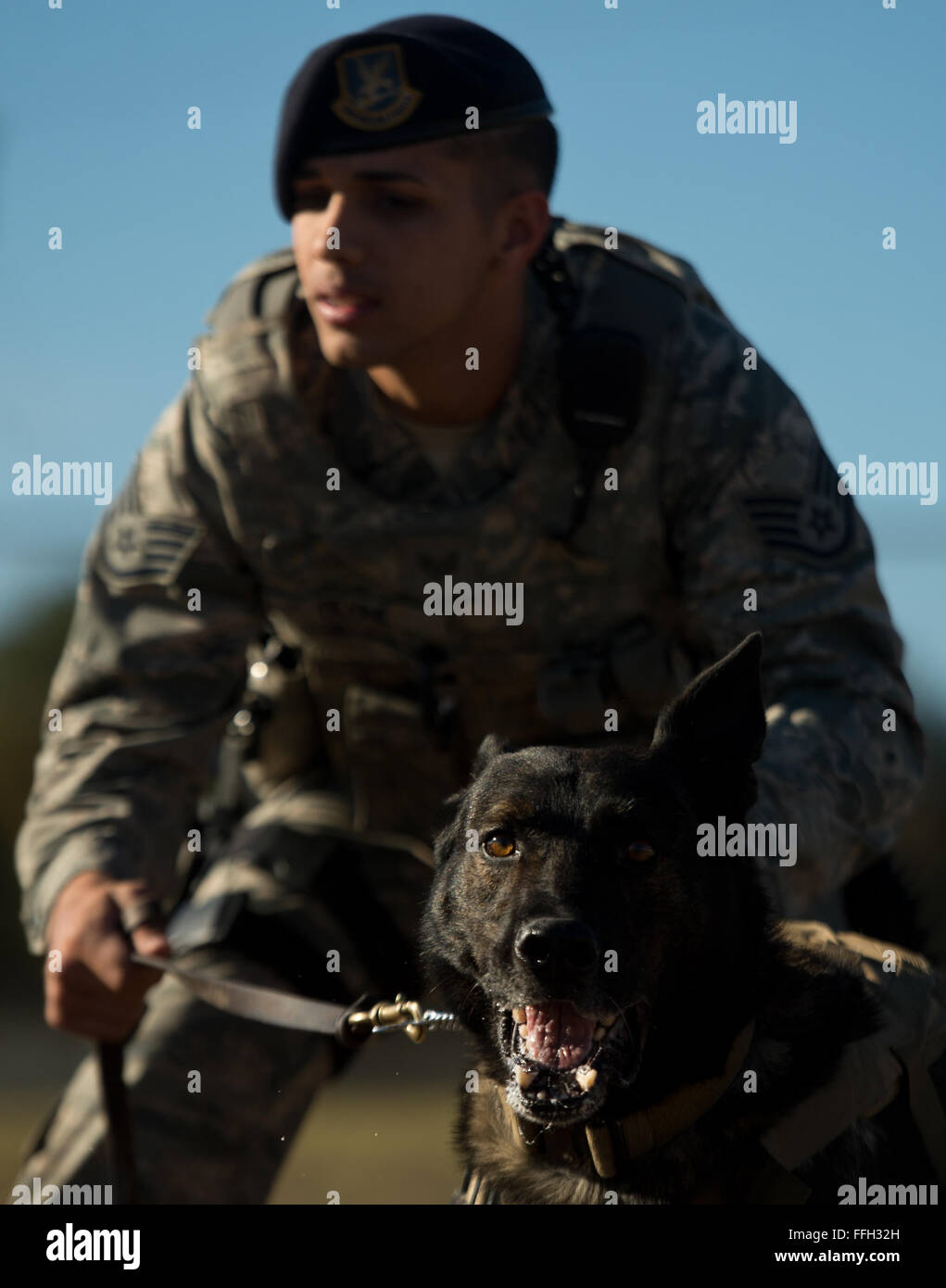 Staff Sgt. Mark Devine, a military working dog handler from the 802nd Security Forces Squadron, holds JJany during a morning exercise training session at Joint Base San Antonio-Lackland. Devine and military working dog handlers assigned to JBSA-Lackland fulfill daily law enforcement requirements or train to remain mission-ready. Stock Photo