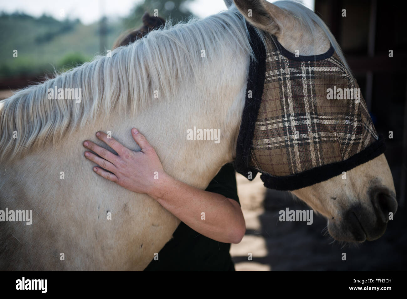 Reserve Staff Sgt. Lauren Daniels wraps her arm around Patton's neck to embrace him before taking him out on a patrol on the installation's beach at Vandenberg Air Force Base, California. Patton, a white palomino, is one of four military horses in Vandenberg AFB's mounted patrol. Stock Photo