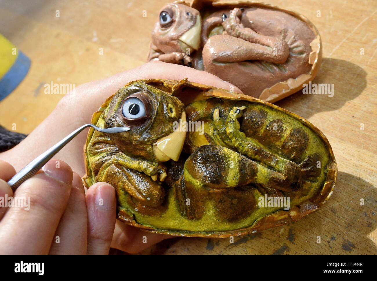 Muenchehagen, Germany. 11th Feb, 2016. A staff member prepares the replication of a embryo of a T-res dinosaur for the Dinosaur exhibition at the Dinopark in Muenchehagen, Germany, 11 February 2016. The exhibition presents insights into the family life of dinosaurs, including rare dinosaur baby fossiles and their find spot. PHOTO: HOLGER HOLLEMANN/dpa/Alamy Live News Stock Photo