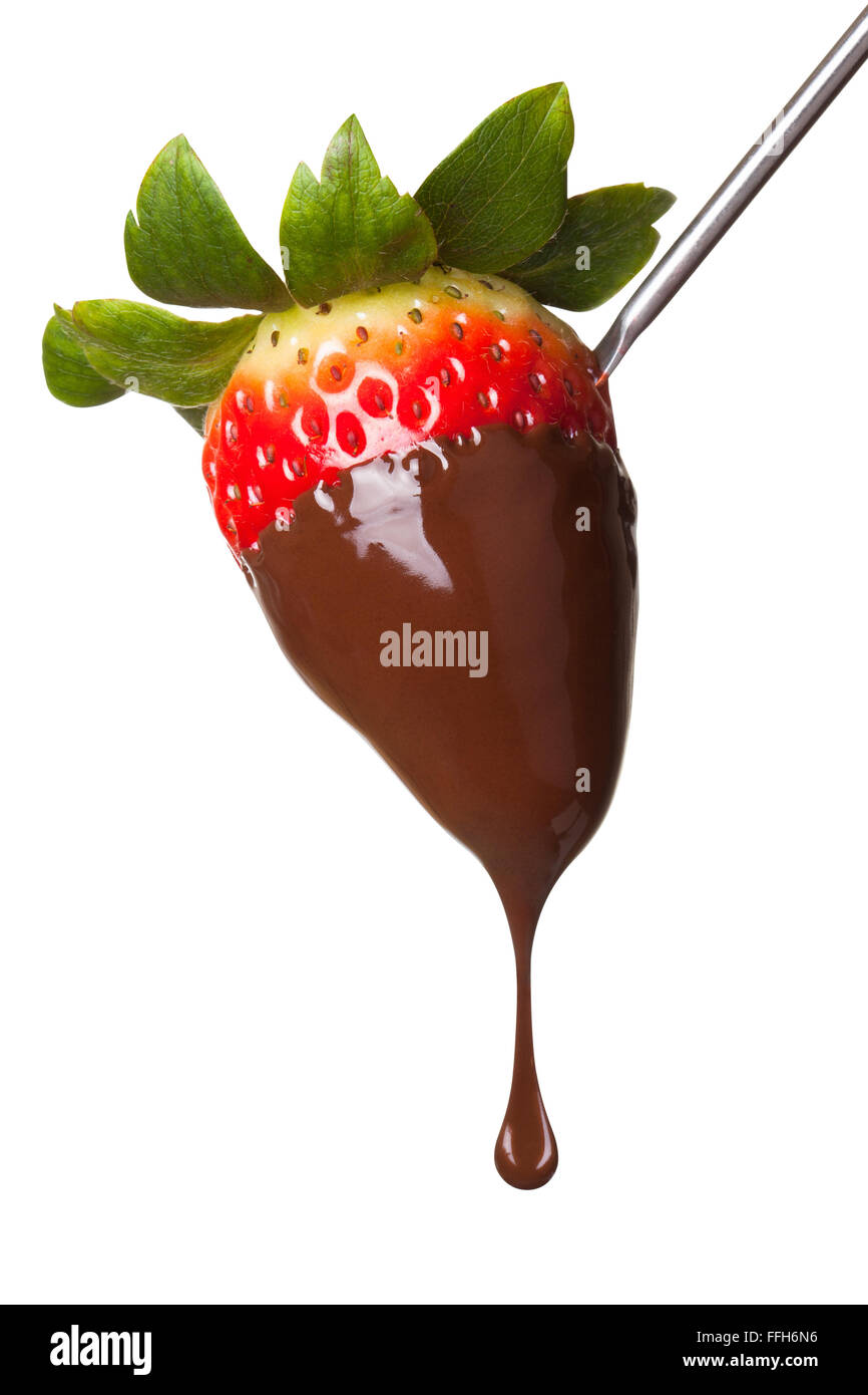 Strawberry dipped in chocolate on fondue skewer, isolated on the white background, clipping path included. Stock Photo