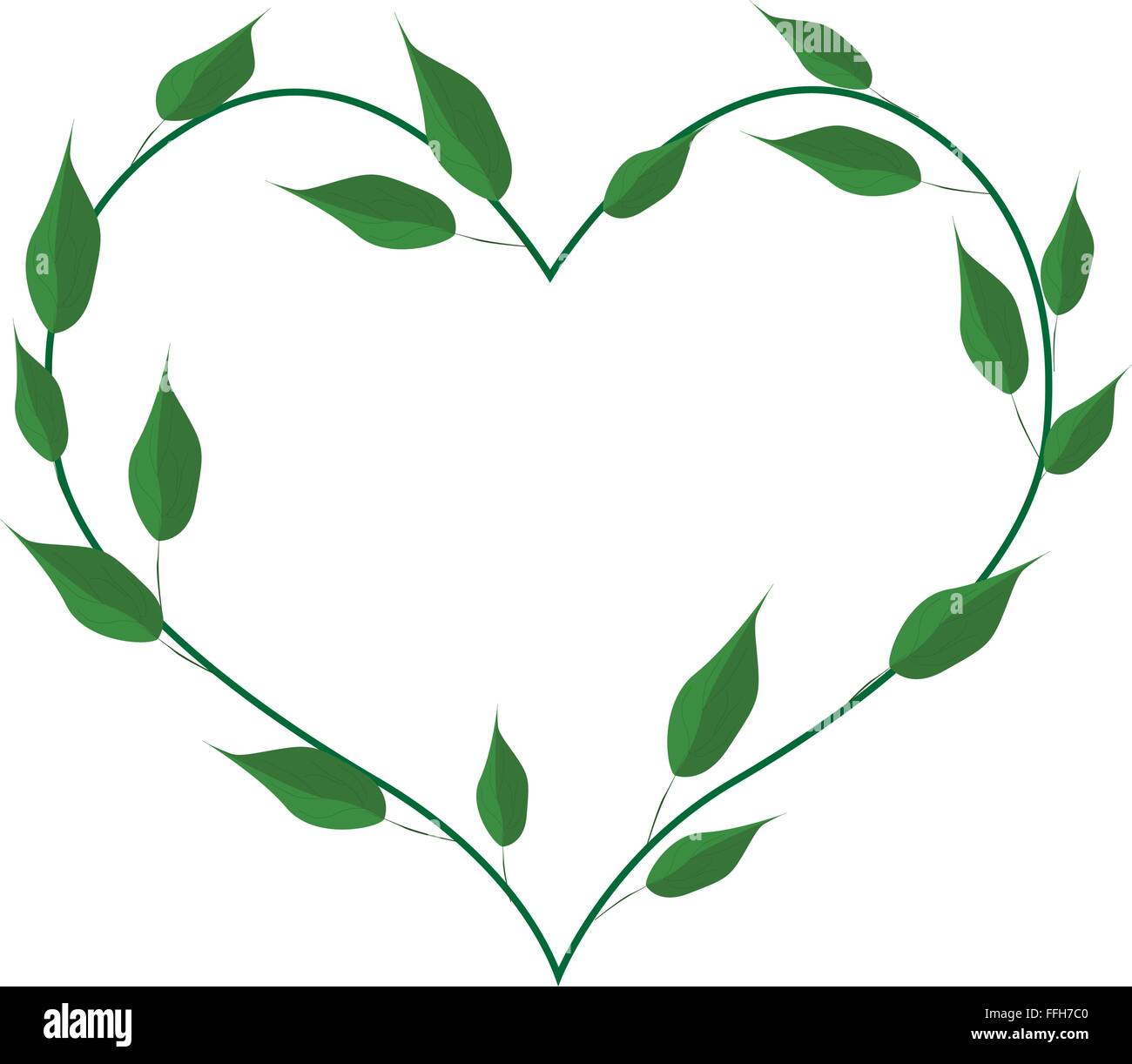 Love Concept, Illustration of Evergreen Leaves in A Heart Shape ...