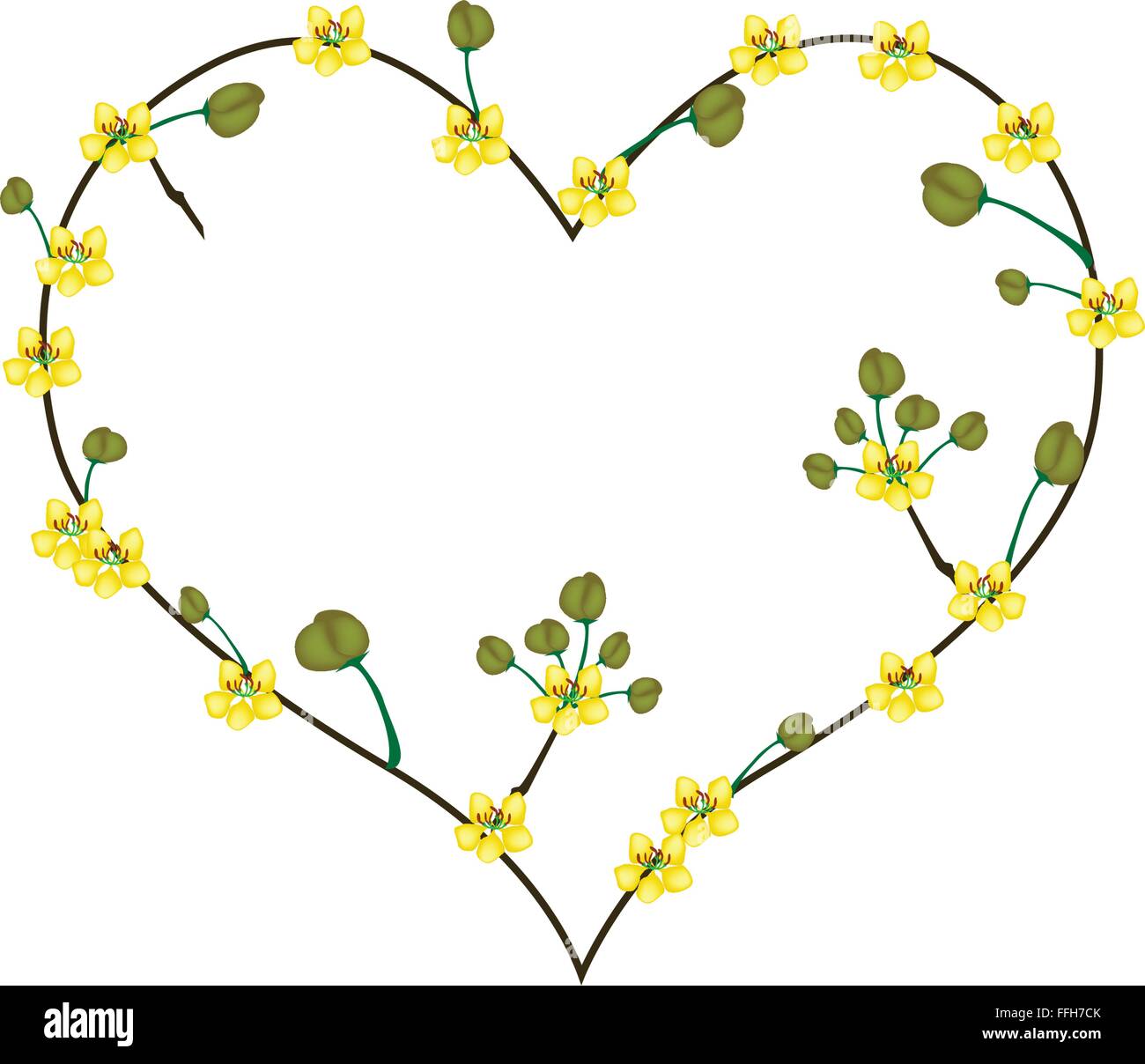 Love Concept, Illustration of Yellow Cassod Flowers Forming in Heart Shape Isolated on White Background. Stock Vector