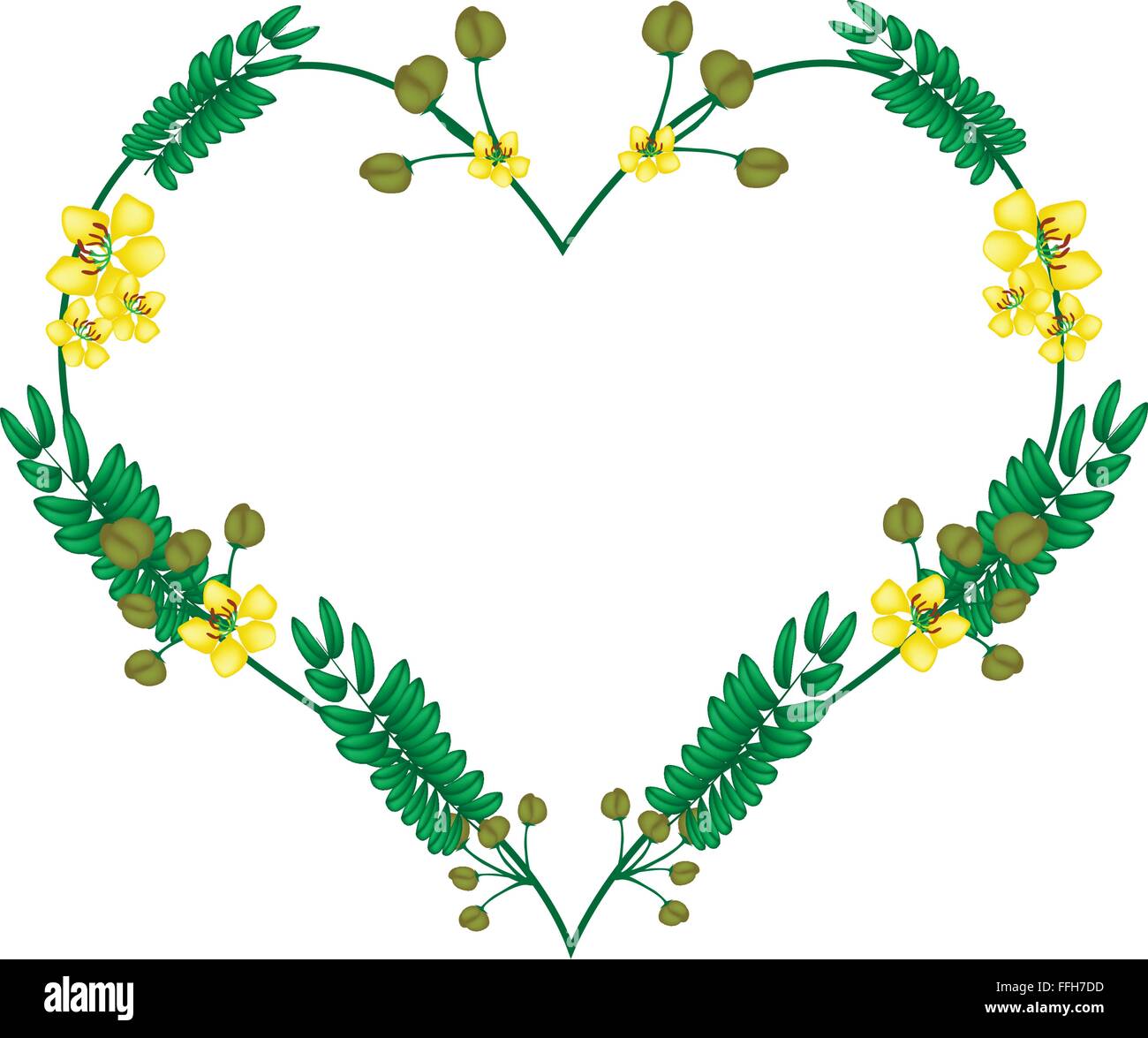 Love Concept, Illustration of Yellow Cassod Flowers and Green Leaves Forming in Heart Shape Isolated on White Background. Stock Vector