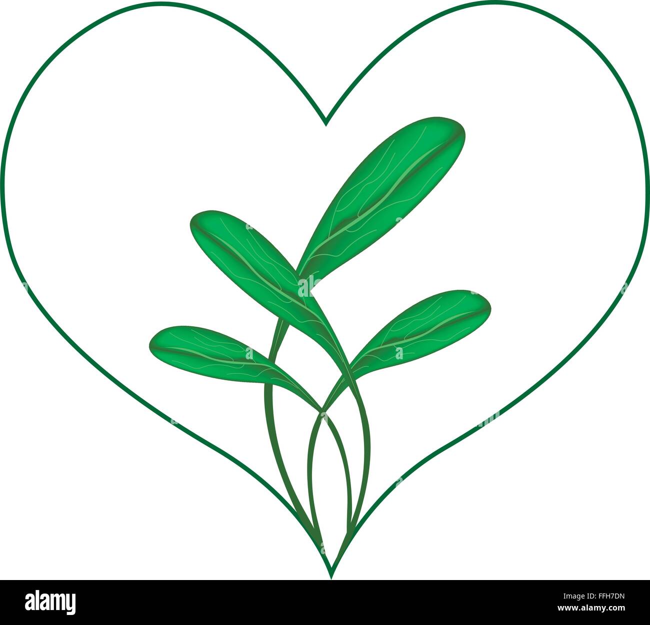 Love Concept, Illustration of Green Leaves Forming in Heart Shape Frame ...