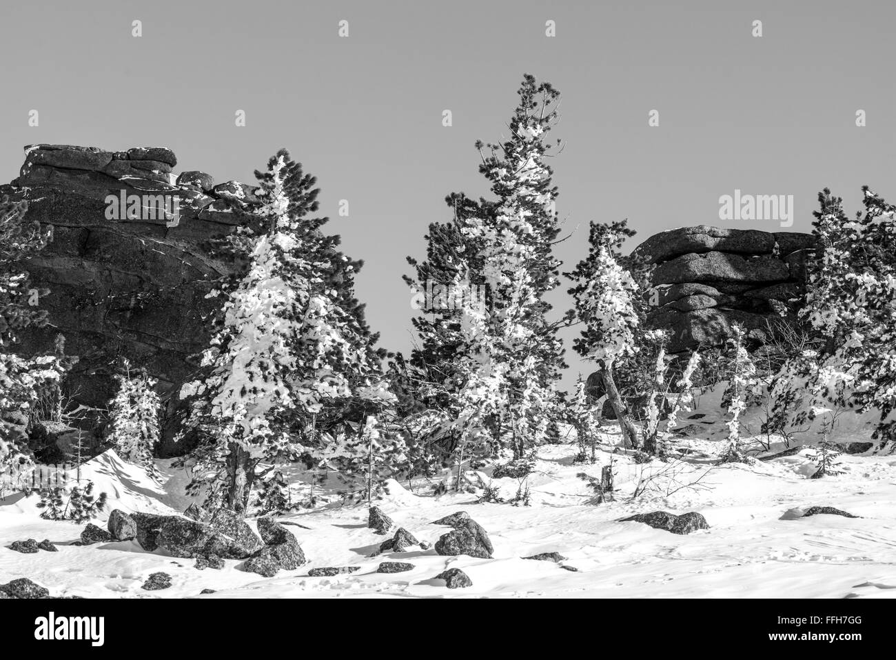 Beautiful top Black and White Stock Photos & Images - Alamy