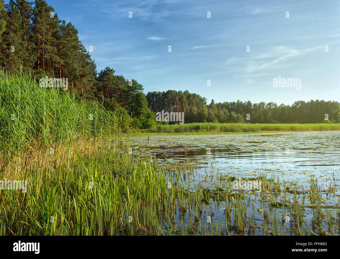 landscape with lake and blue sky Stock Photo - Alamy