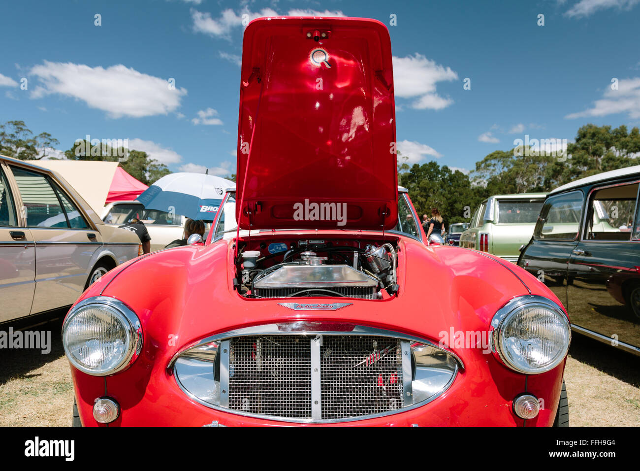 An Austin Healey 3000 on display at the annual Picnic at Hanging Rock